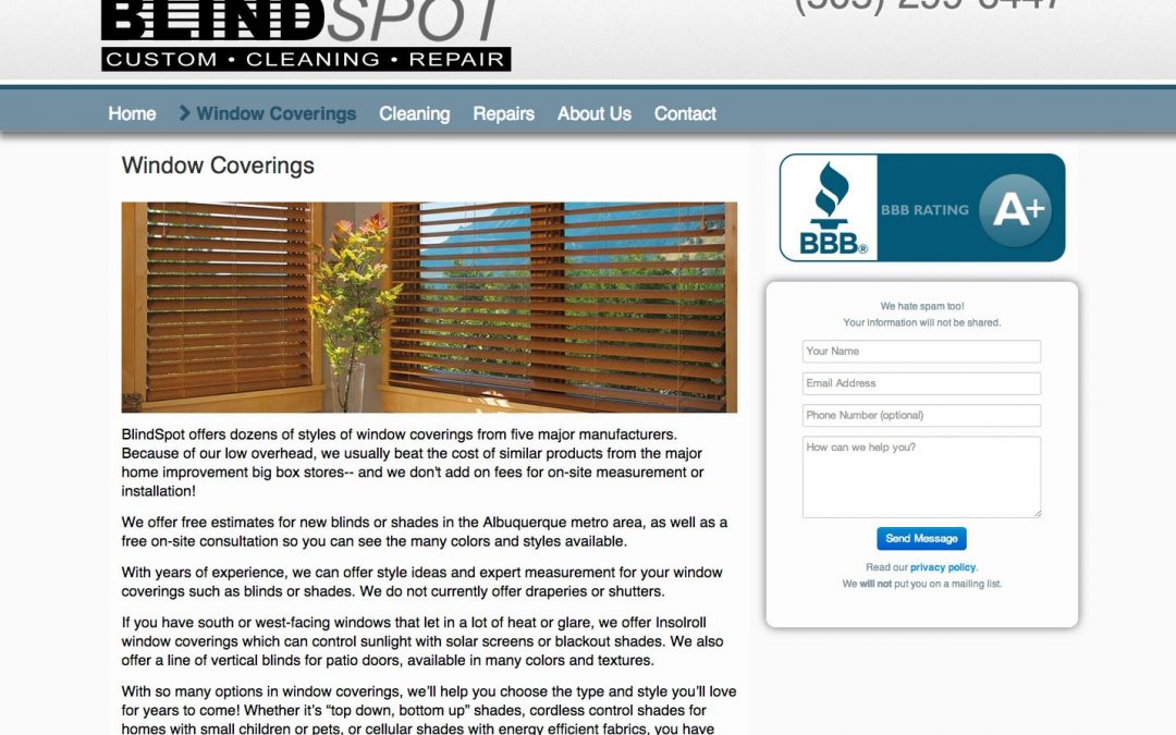 Blind Spot (Less) Launches New Website