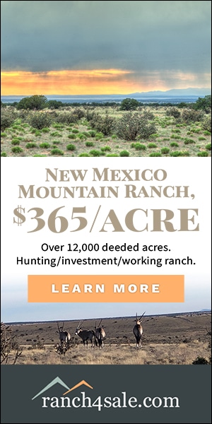 Advertisement for New Mexico Mountain Ranch: $365/acre, over 12,000 deeded acres for hunting/investment; Learn More—ranch4sale.com.